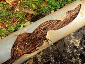 sewer repair services in Port Richey, FL