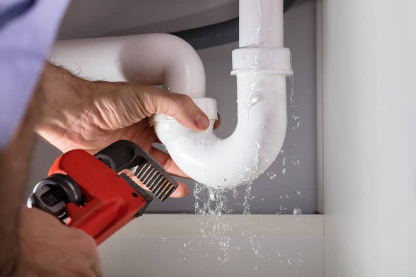 plumber in New Port Richey, FL