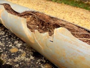 broken sewer line Port Richey, FL