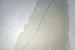 slab leak repair Trinity, FL