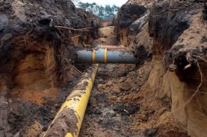 broken sewer line Port Richey, FL