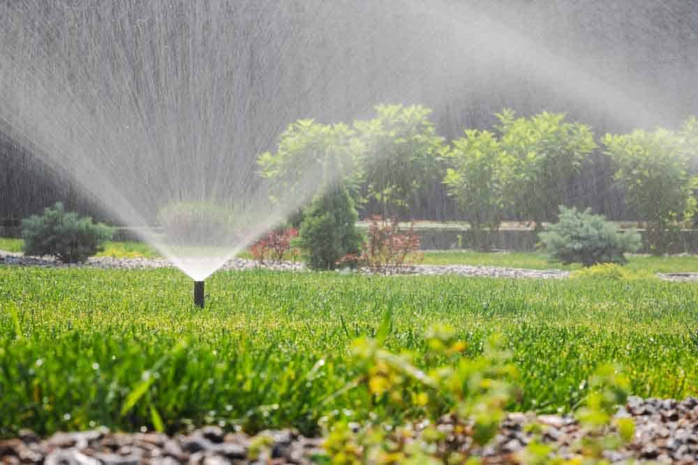lawn with sprinkler system